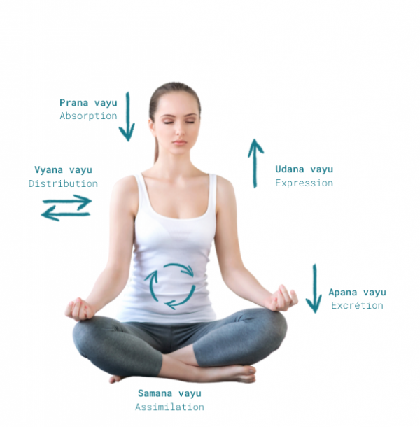 Yoga, Vayus et résilience