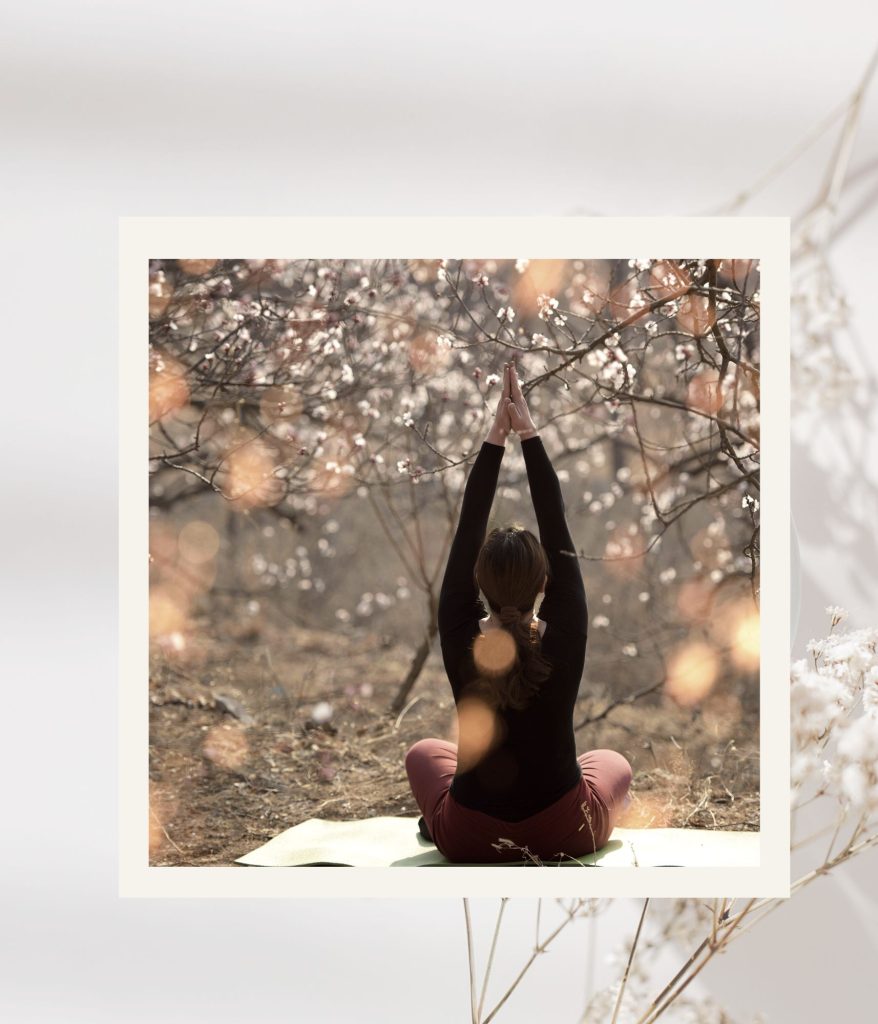 Detox de printemps