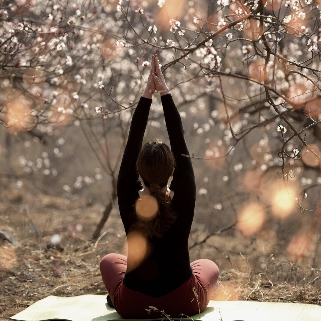 retraites yoga ayurveda