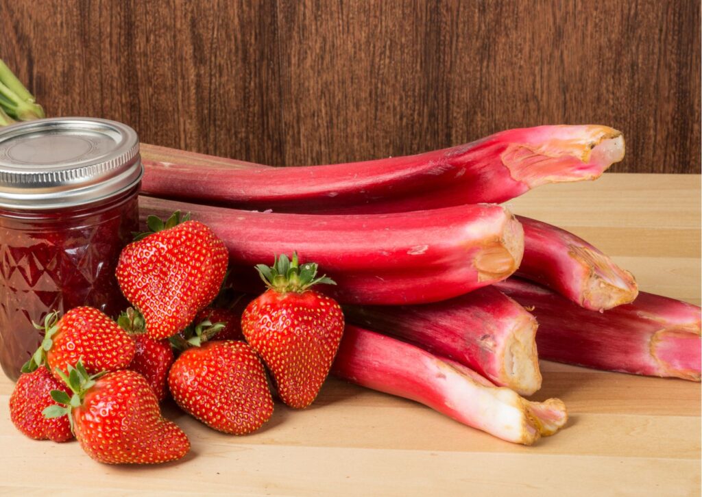 recettes printemps fraise rhubarbe