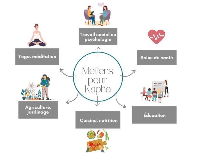 Dosha Ayurveda – graphiques métiers kapha