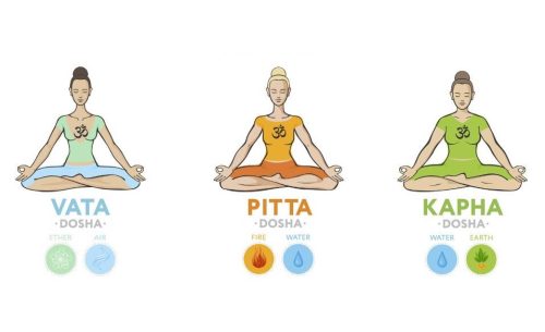 Dosha pitta kapha vata