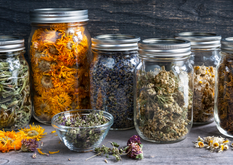 plantes jardin médicinal ayurvedique
