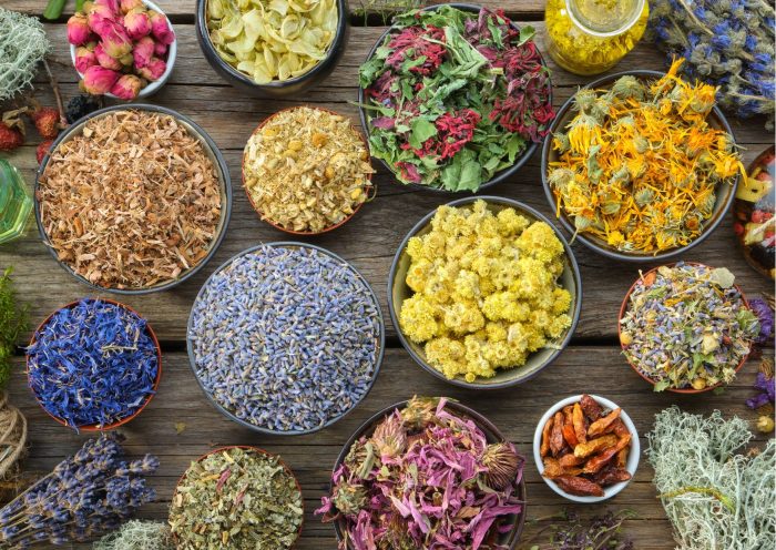 cycle mentruel soutien