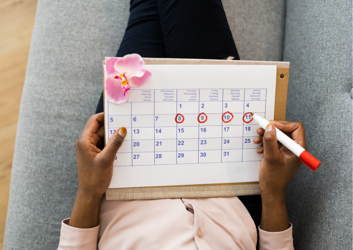 calcul ovulation cycle menstruel